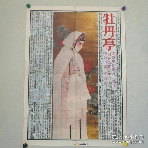 弗罗西诺内美术学院市场开发文凭证书